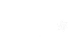 Bixi Designs LOGO